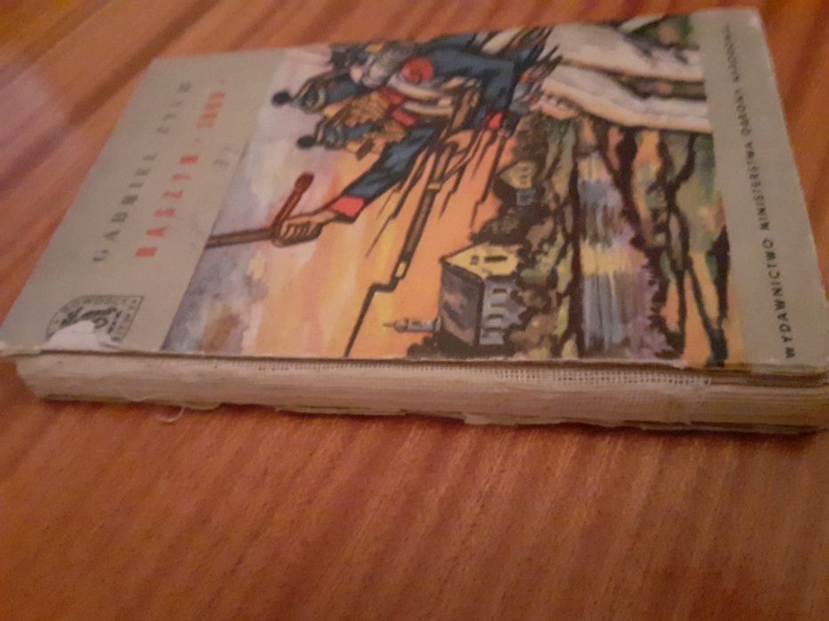 RASZYN 1809-Gabriel Zych(Seria:Bitwy Kampanie Dowódcy)historia