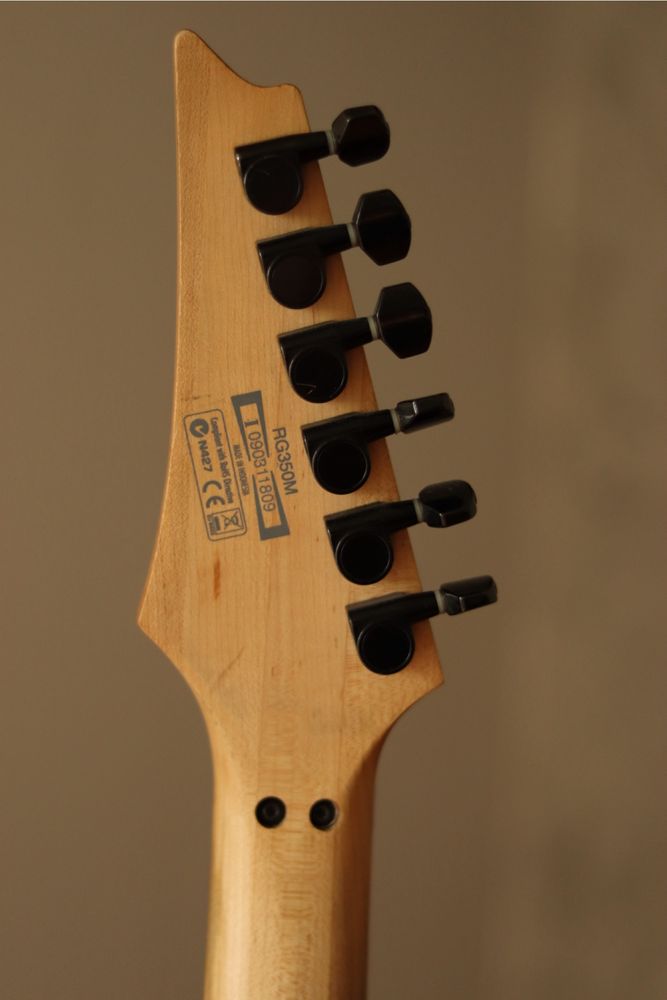 Ibanez RG350MZ – Profesjonalna gitara z topowym upgradem!