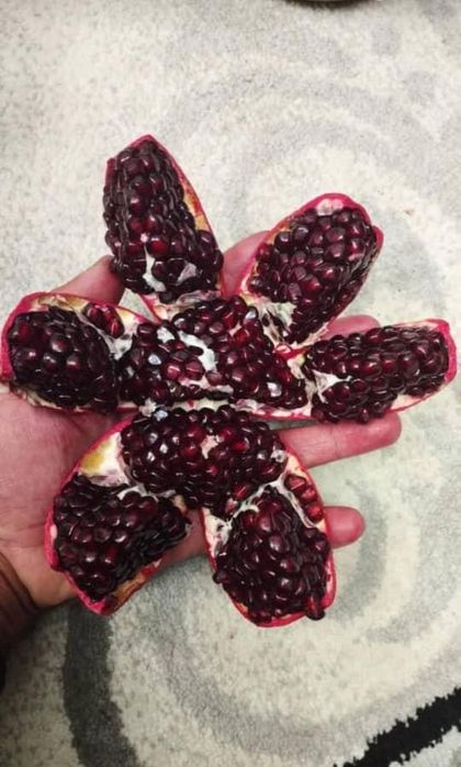 Продам мандарин, гранат, апельсин, виноград оптом