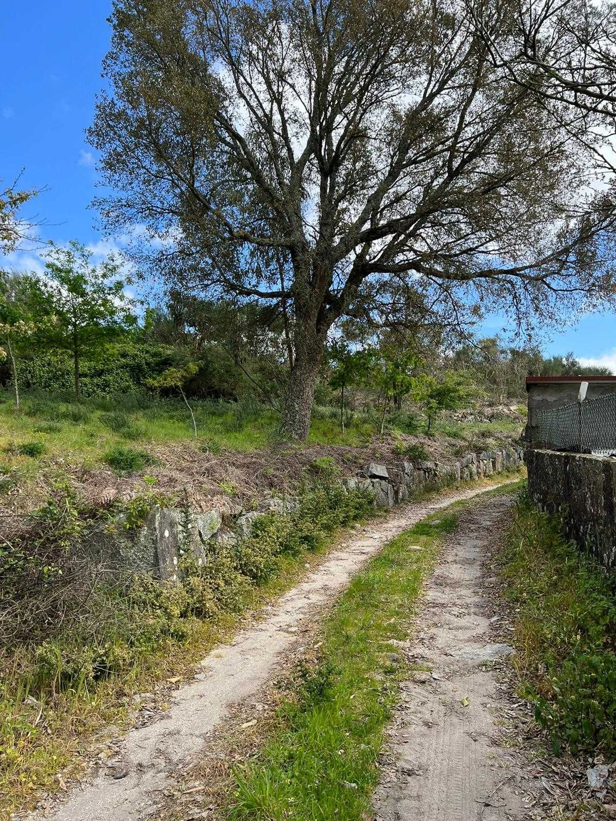 Terreno para construção