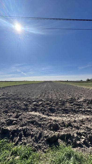 Działka rolna / siedlisko Pasztowa Wola Kolonia 1.165 ha