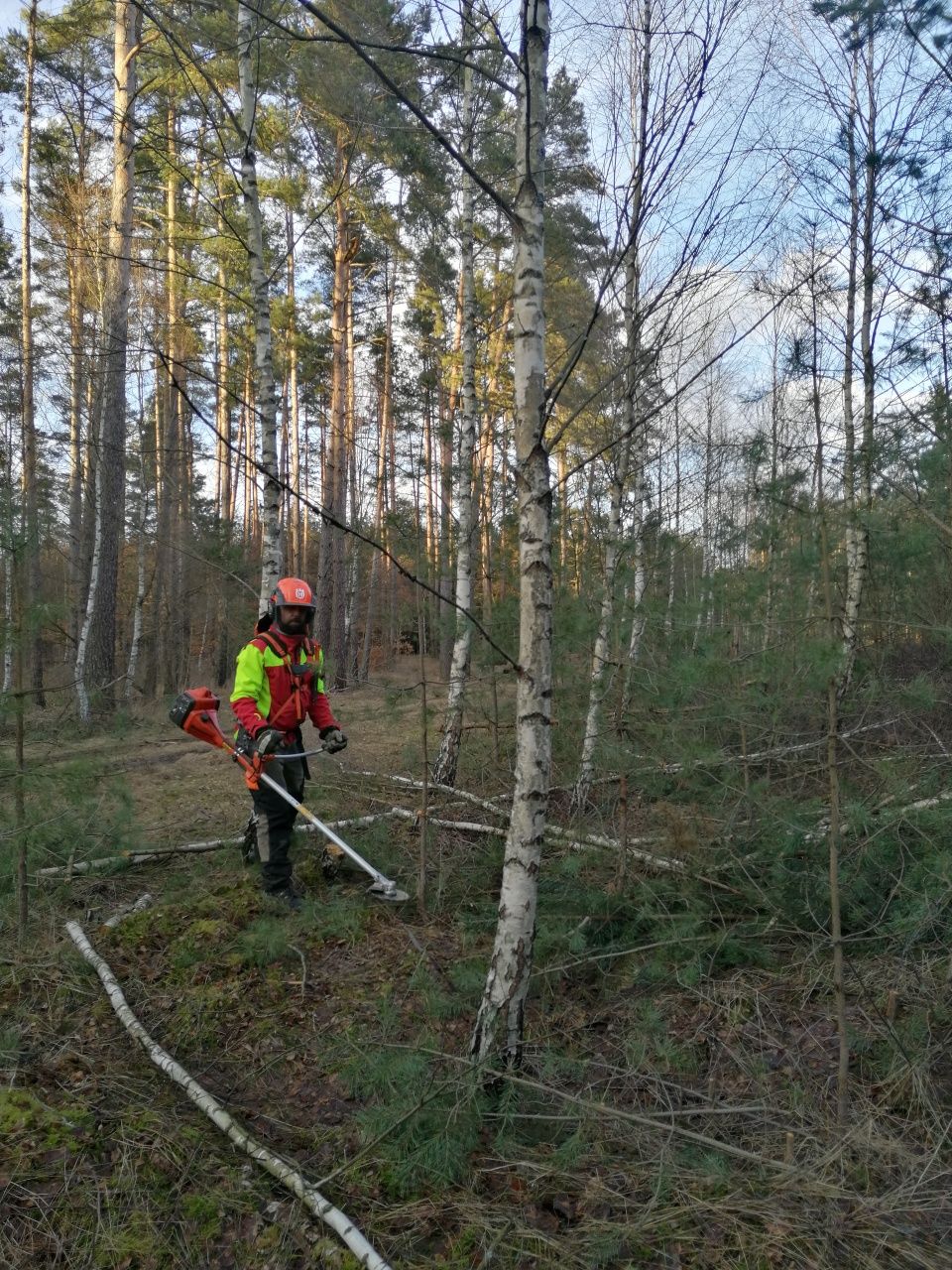 Wycinka drzew. Pilarz-drwal, arborysta. Wykaszanie zarośli.