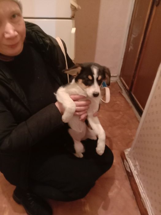 Врятуйте дівчинку від бродячого життя