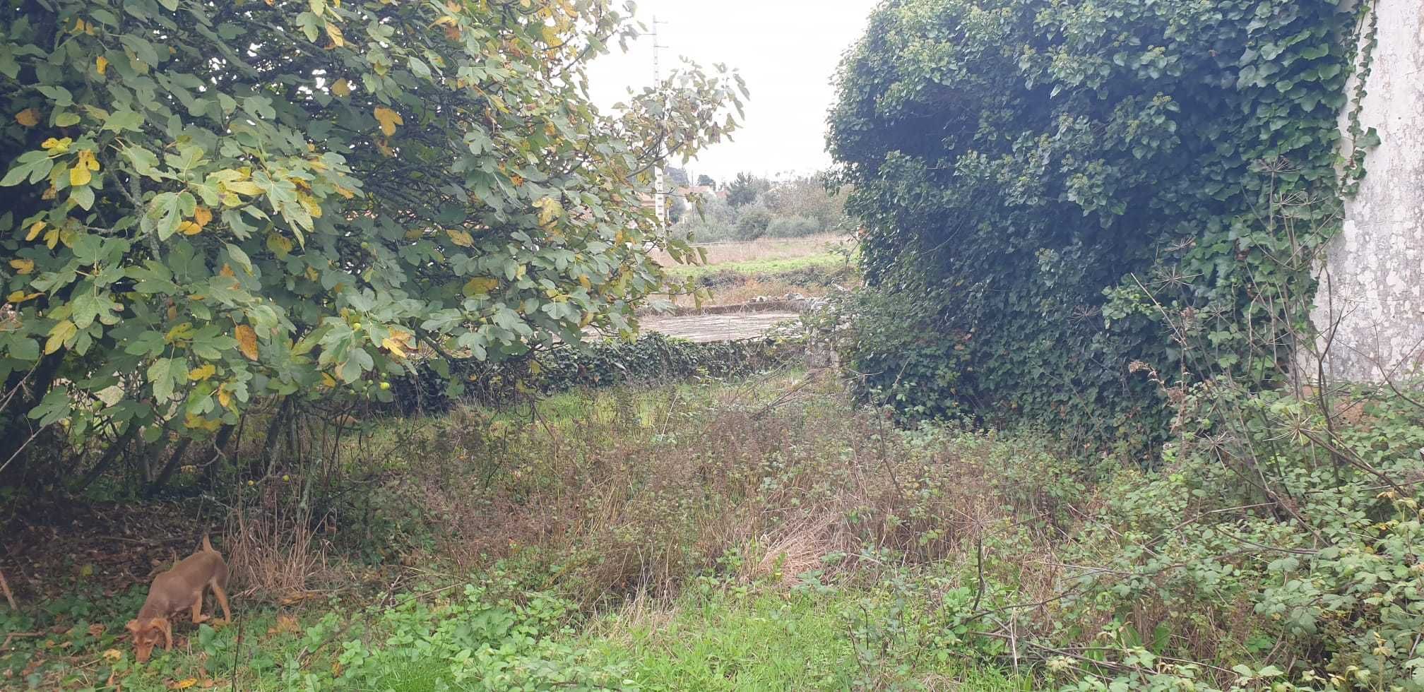 Terreno 1600 m² com ruína – São Mamede, Batalha