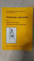 Anatomia człowieka – Układ ruchu bierny (Systema motorium passivum)