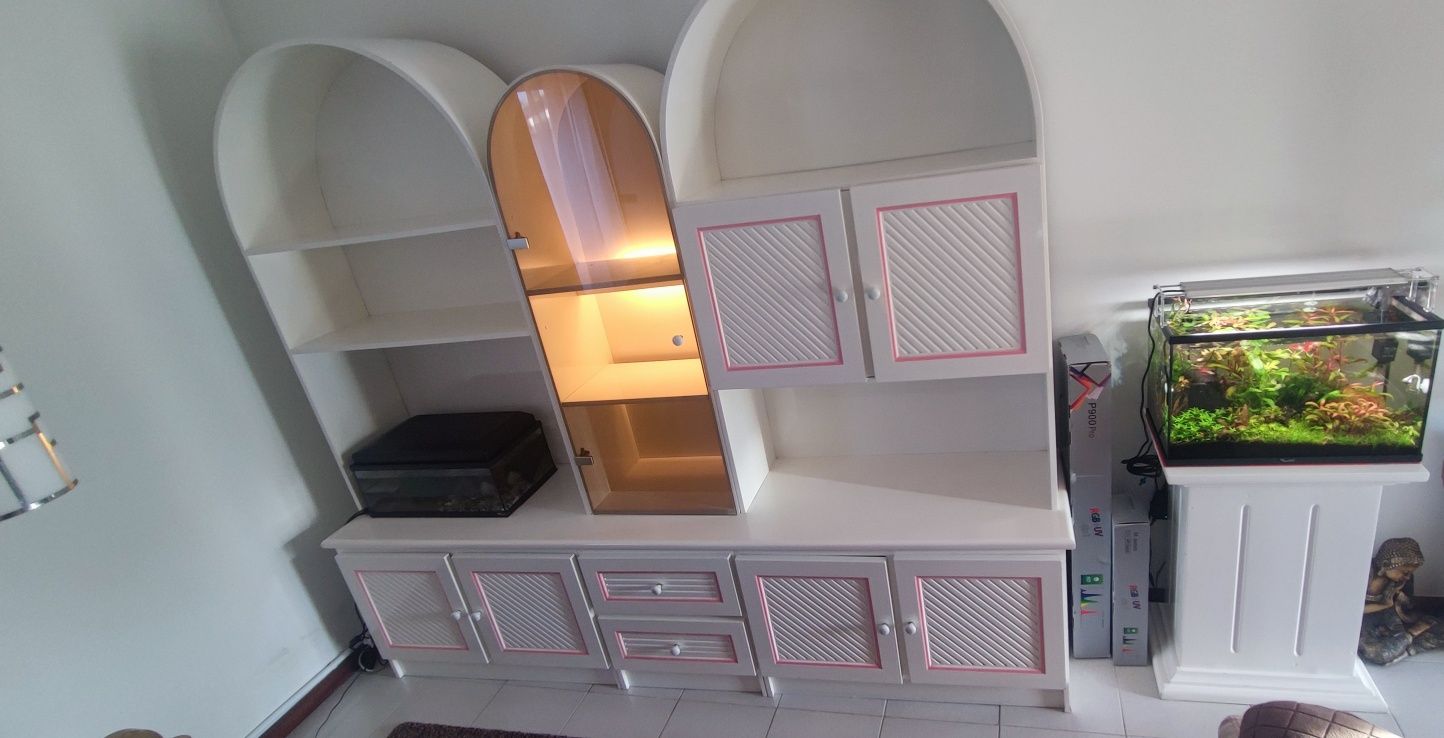 NOVO PREÇO + BAIXOArmário sala com iluminação  236*206 (antes 290€)