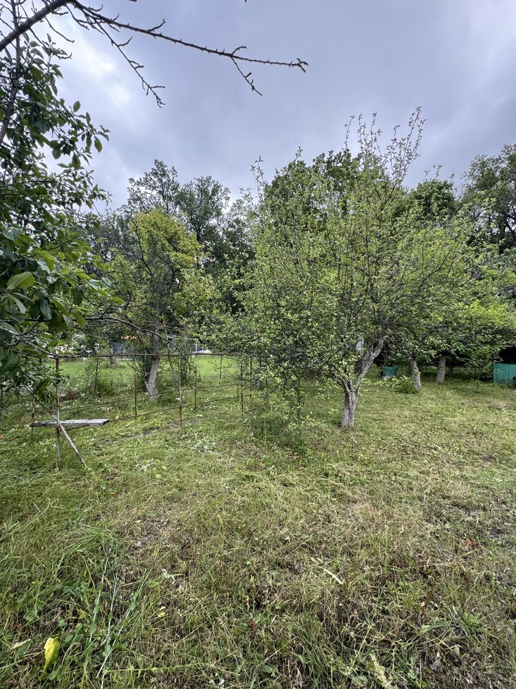 Продам дачу ,участок,хорошево ,янтарь