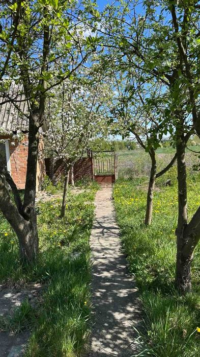 3 Продам дачний будинок в с. Петрик масив Рибаче  4945