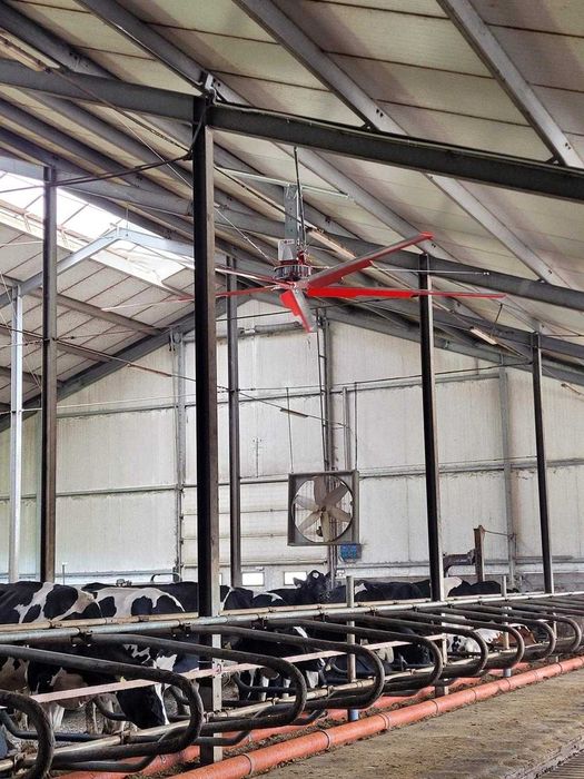 Wentylatory do obory