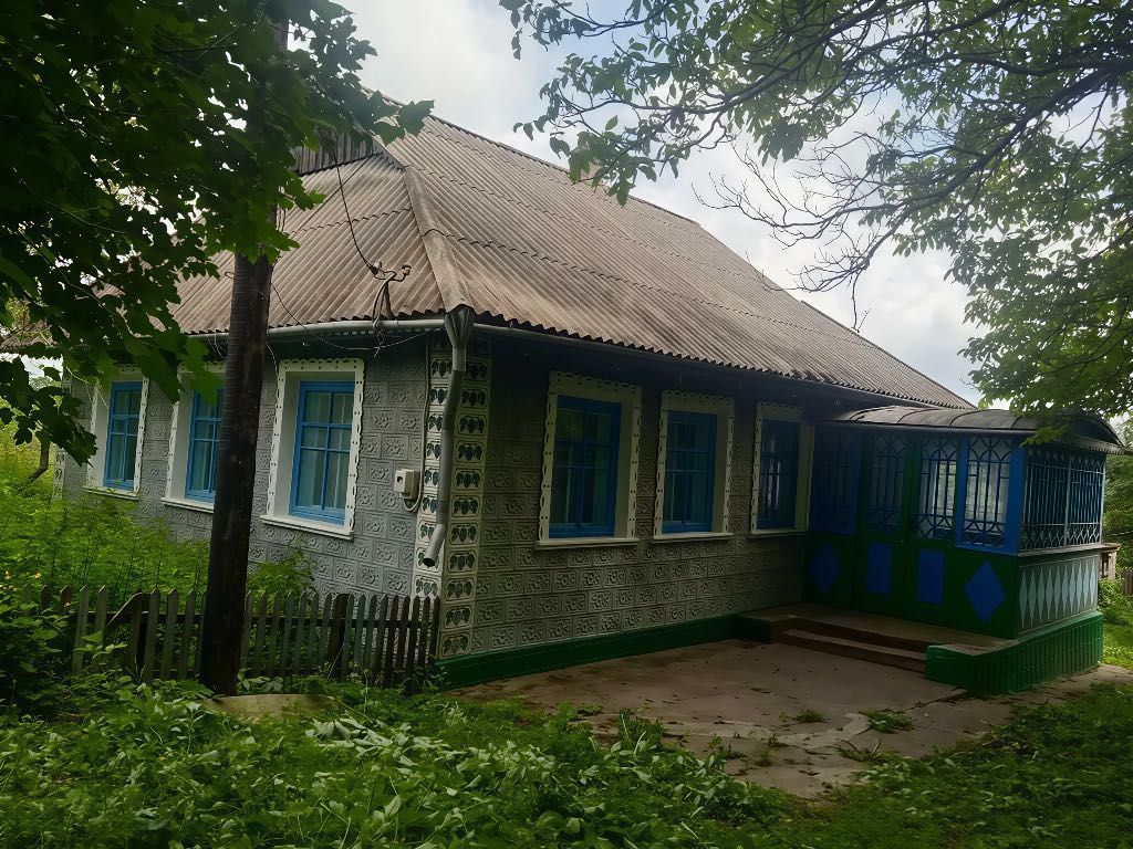 Приватний будинок с. Носківці з ділянкою