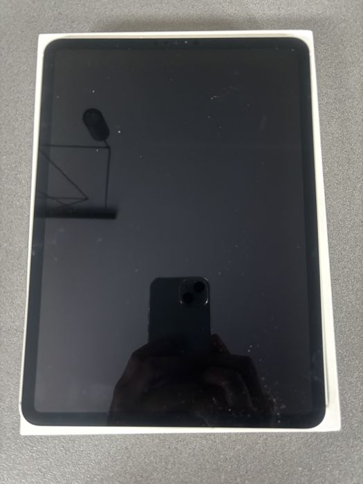 Ipad Pro 11 inch Wi-Fi + Cellular
