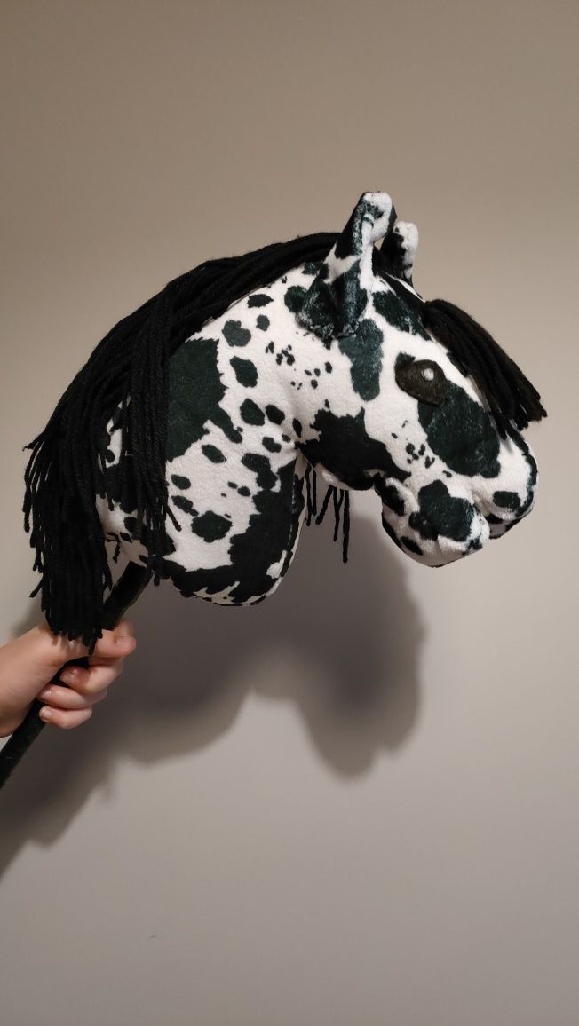 Konik hobby horse tarantowate A4