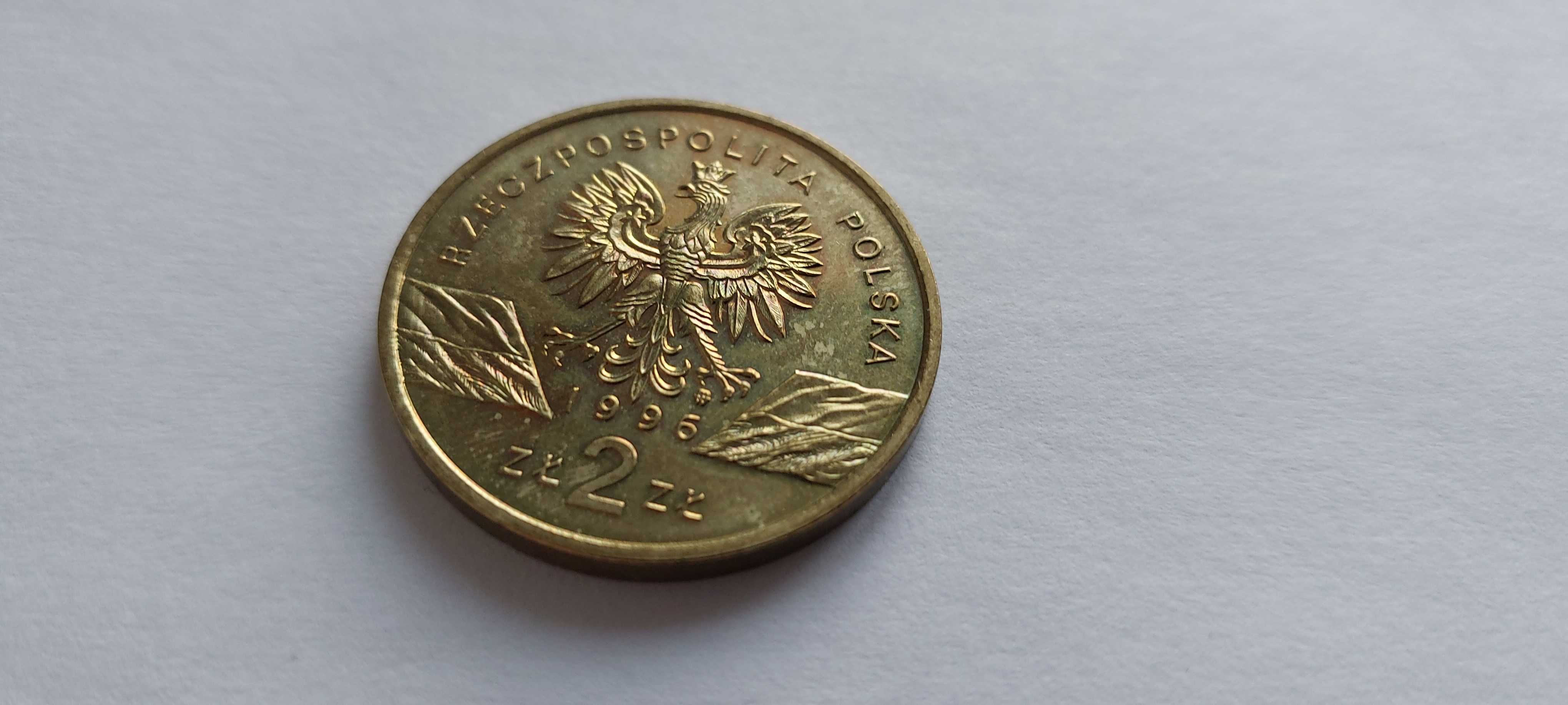 moneta 2zł Jeż Erinaceus Europaeus z obiegu rok 1996