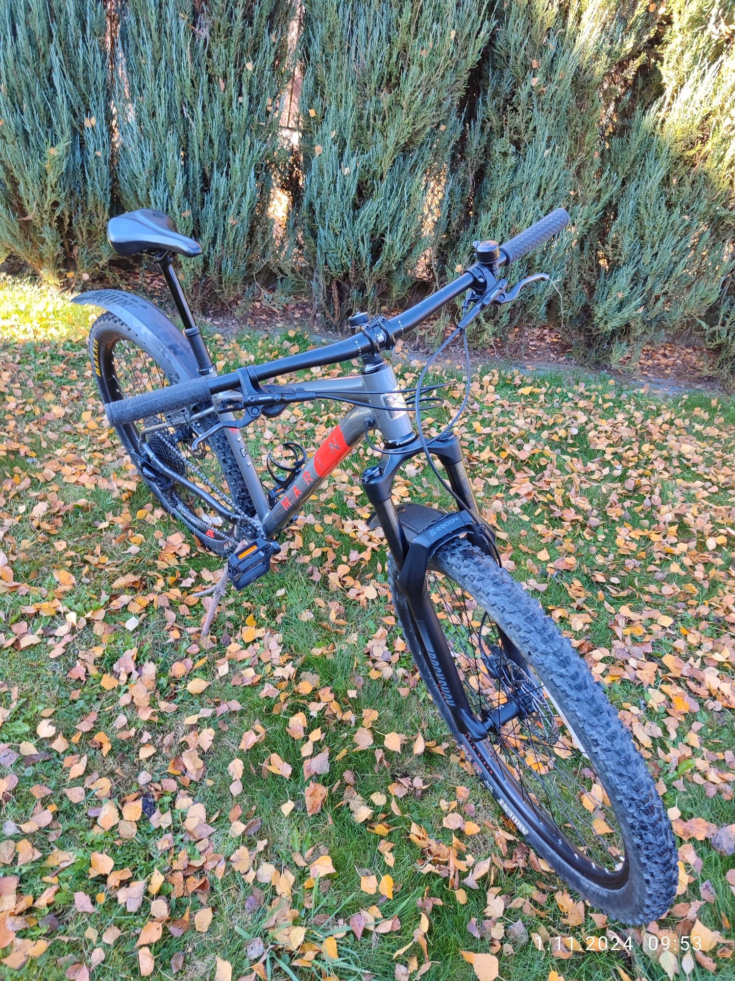 Marin bobcat trail 5