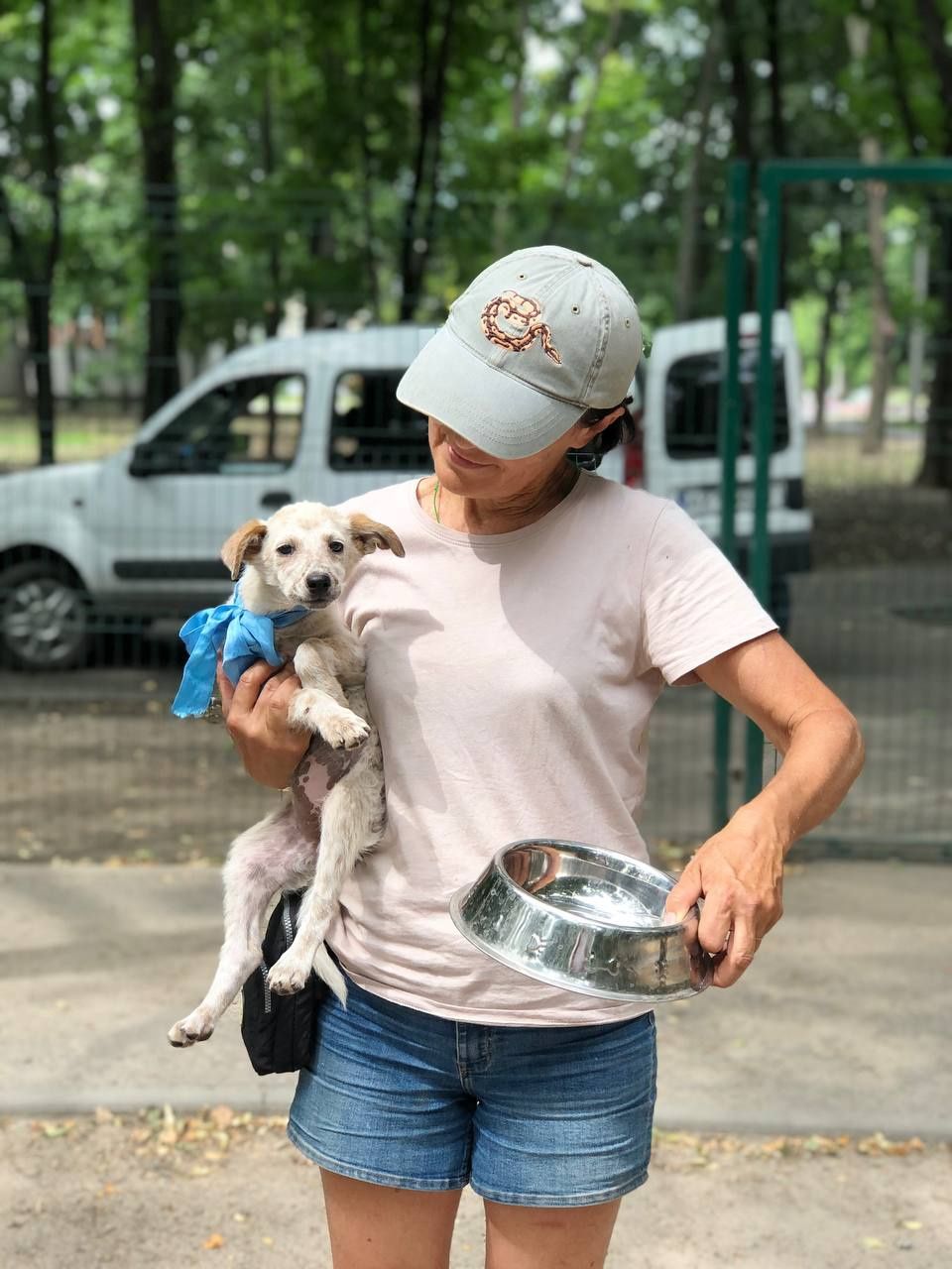 Цуценя в гарні руки