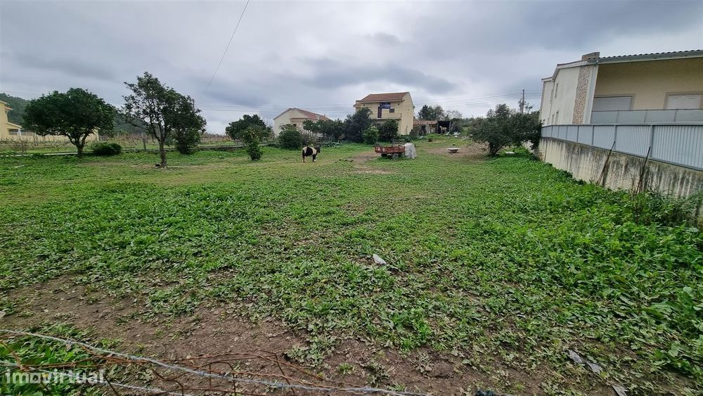 Terreno Rústico com Potencial Urbano – Granja do Ulmeiro, Soure