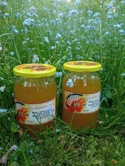 Miód  z własnej pasieki