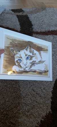 Kot malowany  akwarelą w białej ramce nowy A4