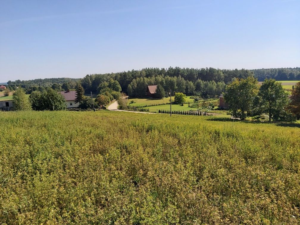 Działka siedliskowa 6060 m2