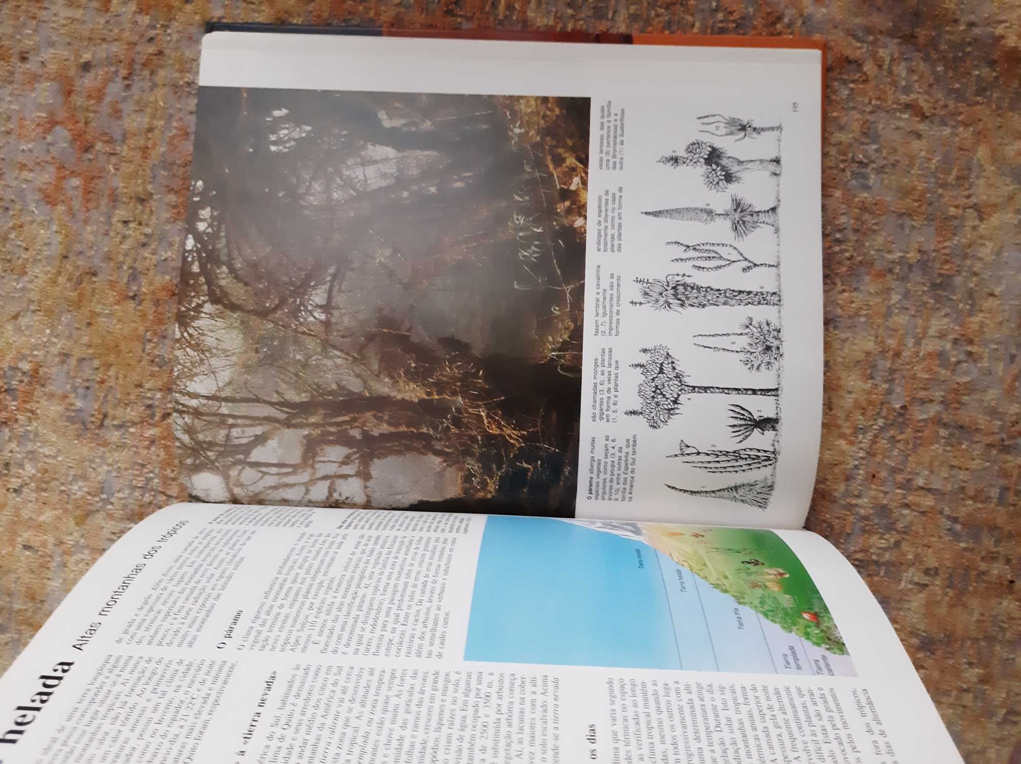 Livro de capa dura "Esta Terra Magnífica"