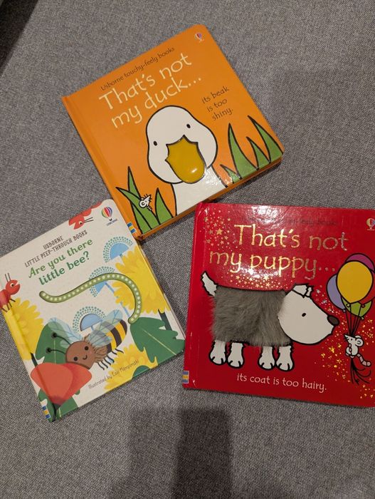 Książki usborne dla najmłodszych