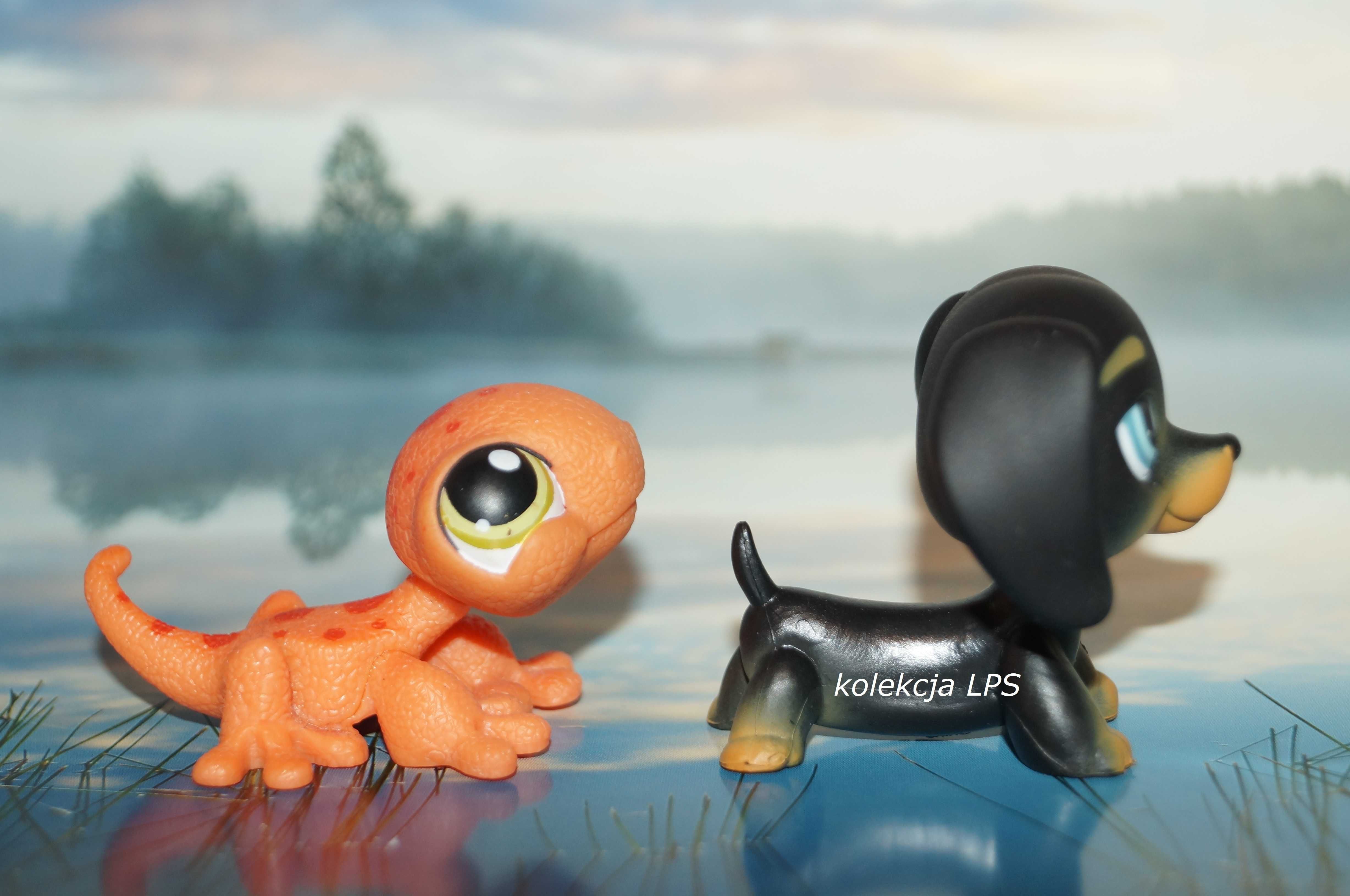 LPS Littlest Pet Shop jamnik #325 gekon #326 oryginalny pop oryginał