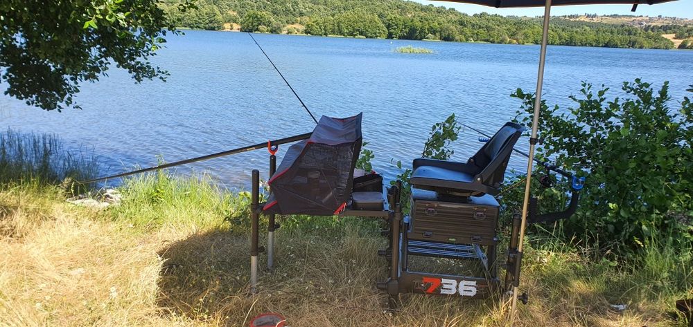 Panier amorim pata 36