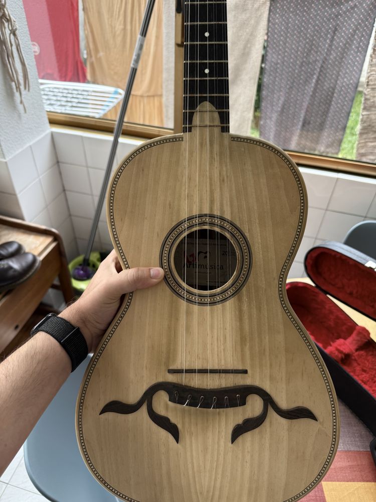 Viola Braguesa com Estojo
