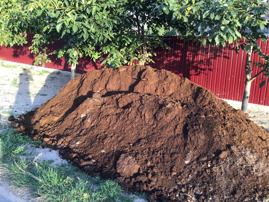 Перегній кінський