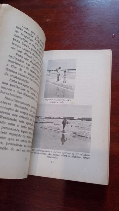 O Sal 1966 João Ferreira da Silva