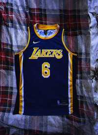 МАЙКА Nike NBA Los Angeles Lakers №6 LeBron James black-purple