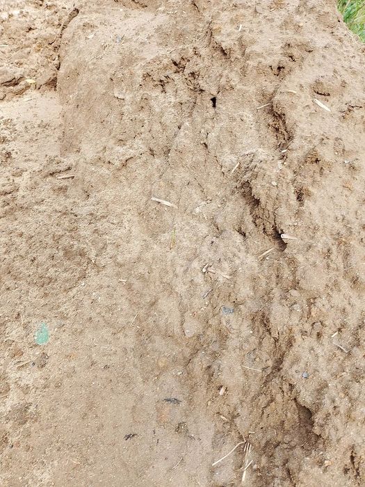 Mieszanka Hummus! Idealna do ogrodu / TRANSPORT