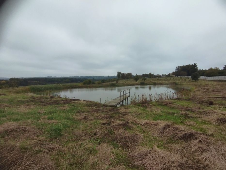 Продам будинок в селі Дермань 3.5га