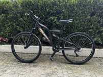Bicicleta BERG 1.4 DS