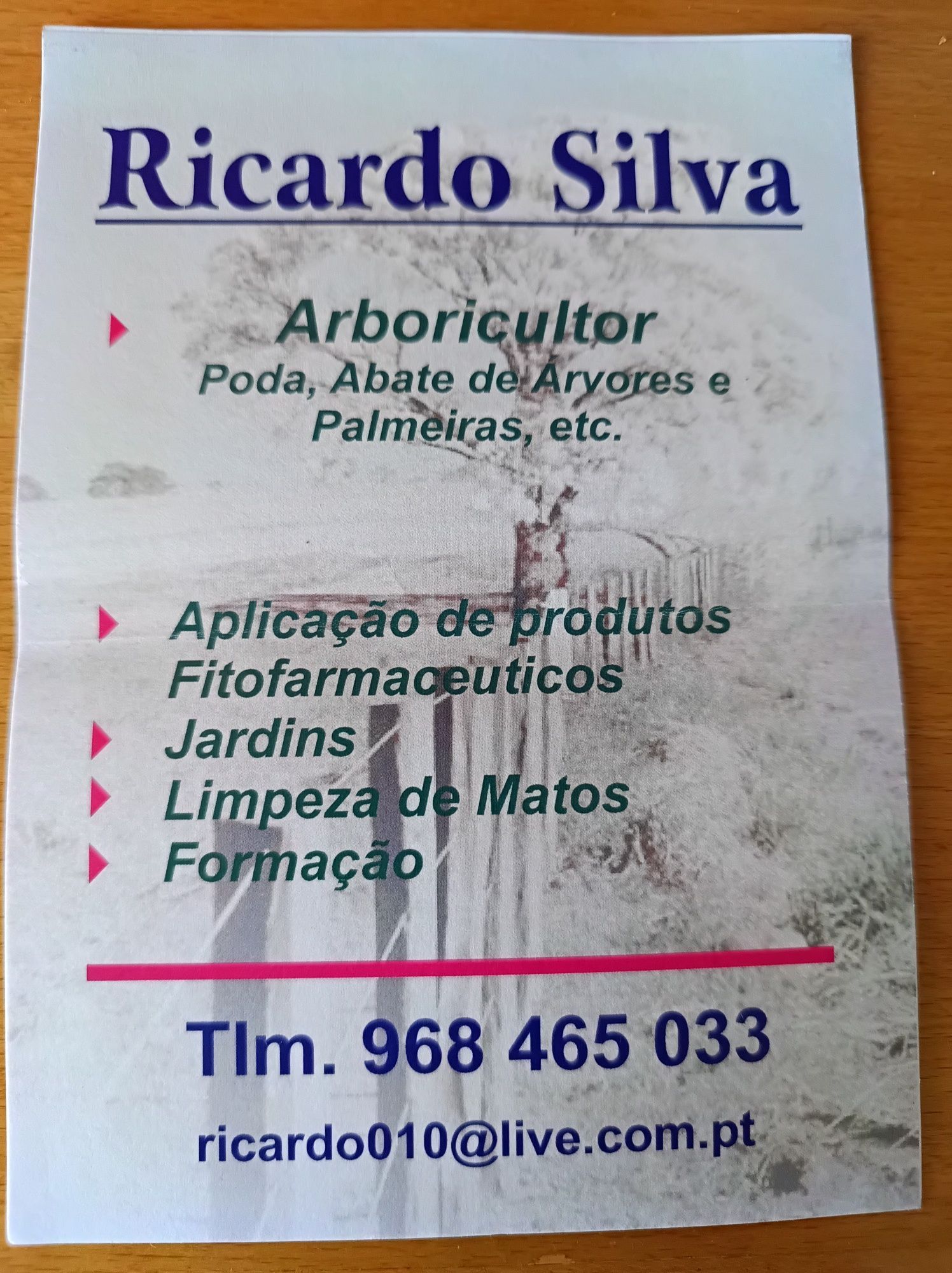 Prestação de vários serviços específicos, e gerais