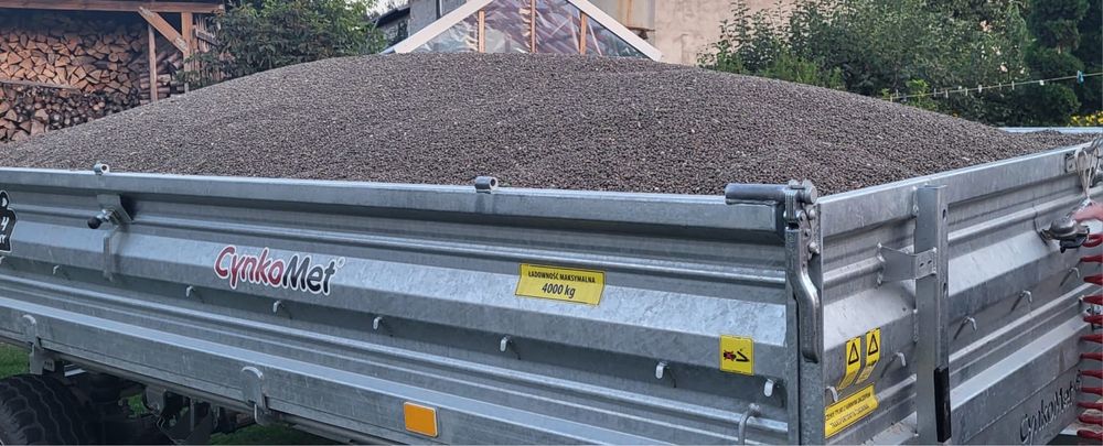 Sprzedam łubin na poplon