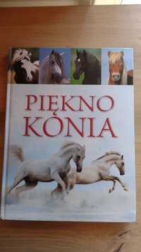 Piękno konia wydawnictwo Olesiejuk