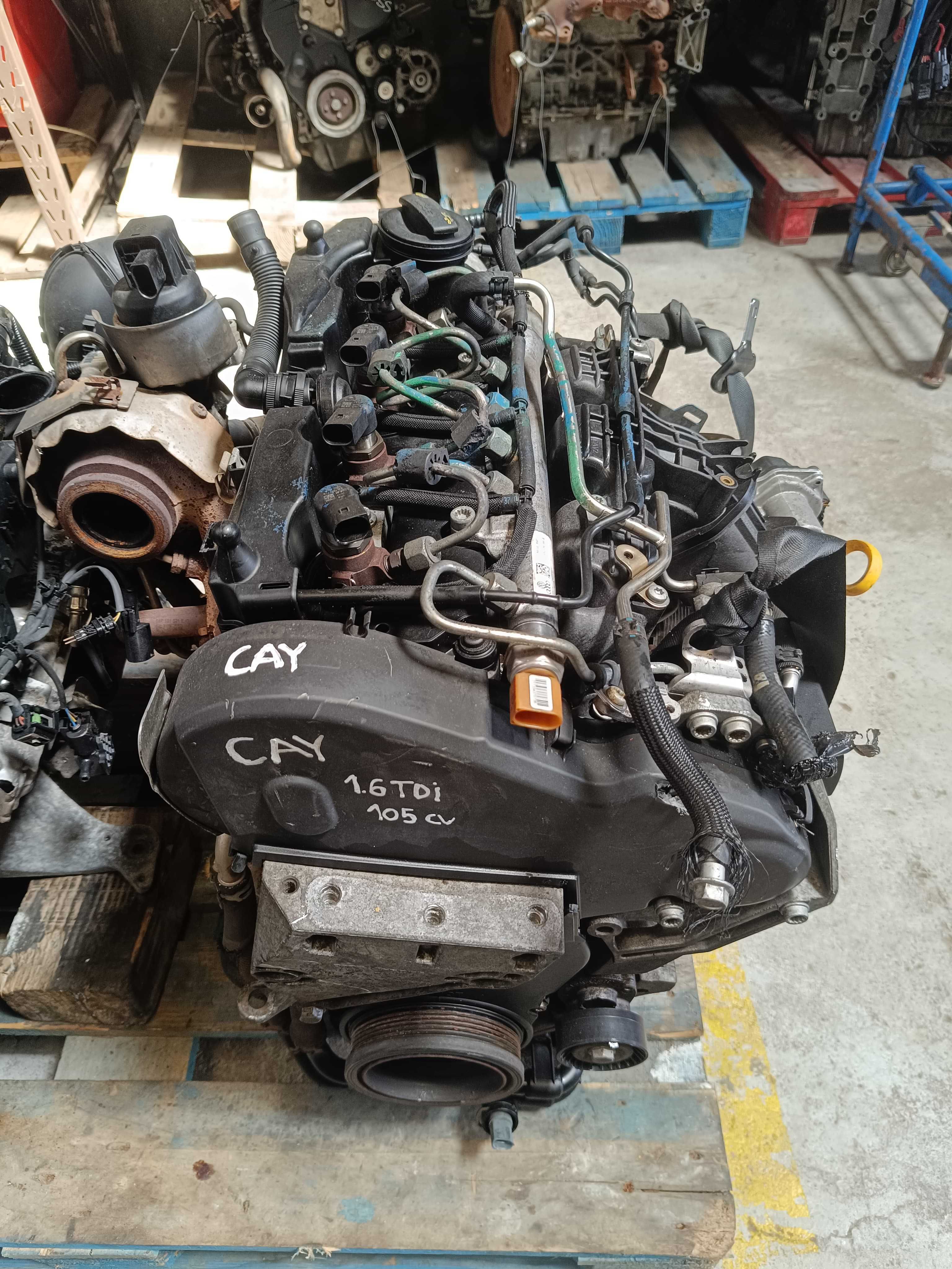 Motor CAY - 1.6 TDI - Volkswagen/Seat/Skoda/Audi
