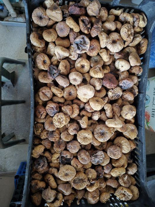 Figos secos do Algarve