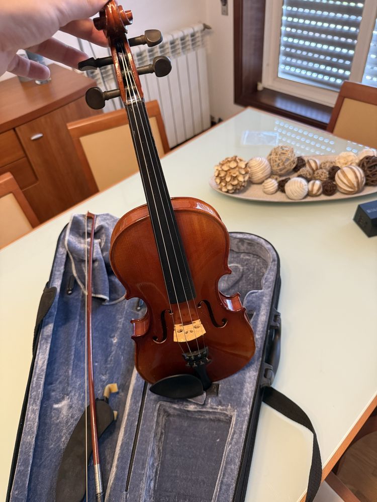 Violino com case