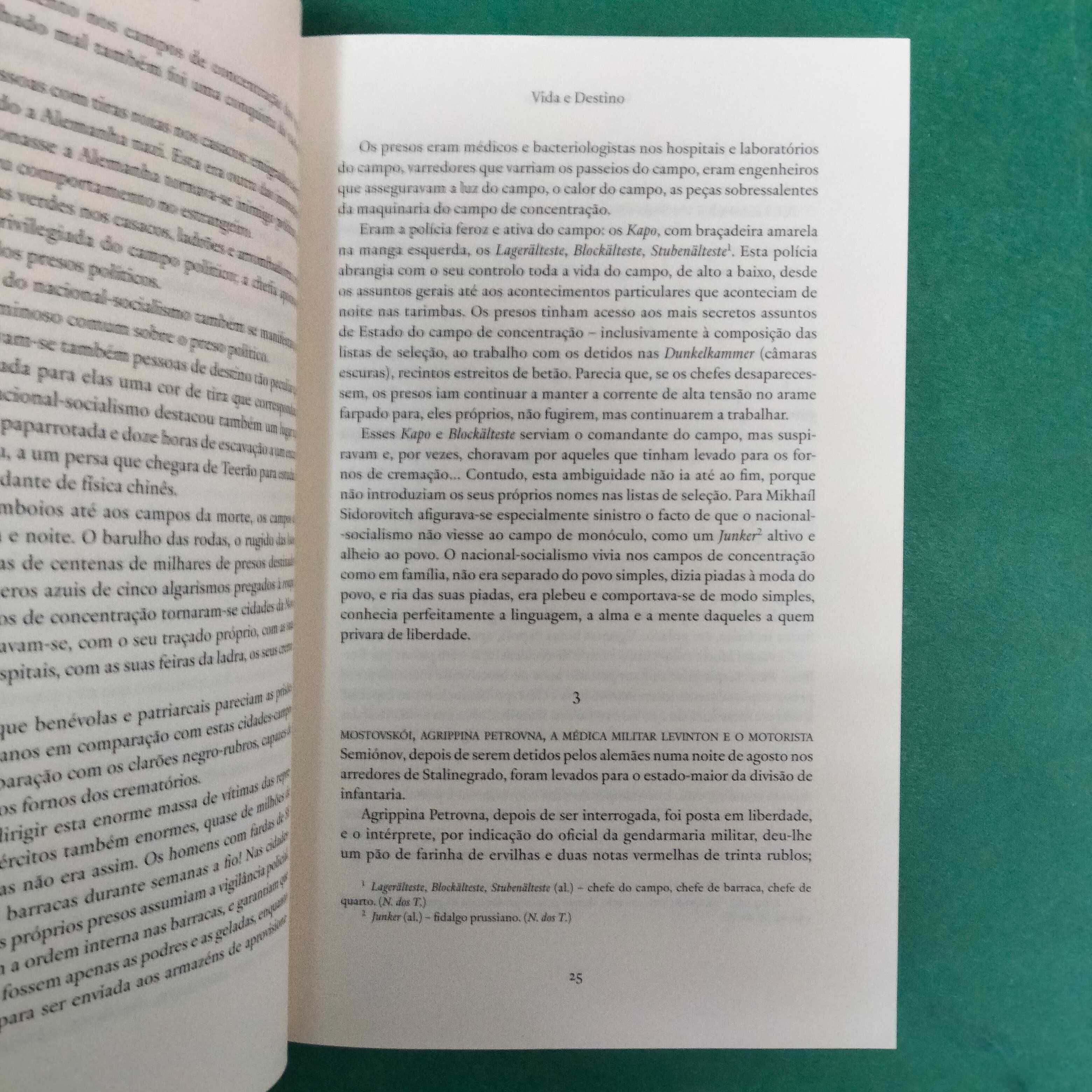 Vida e Destino - Vassili Grossman