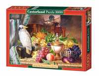Puzzle 3000 Papuga I Owoce Castor, Castorland