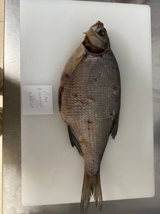 Продам вялену і копчену рибу оптом .лящ, товстолоб, сом .