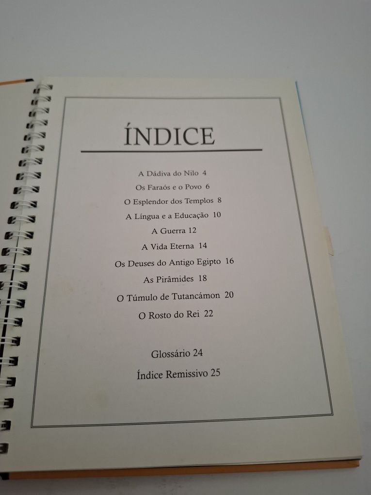Livro Múmias e Faraós de Anita Ganeri