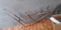 Chopper Esmaltina furia