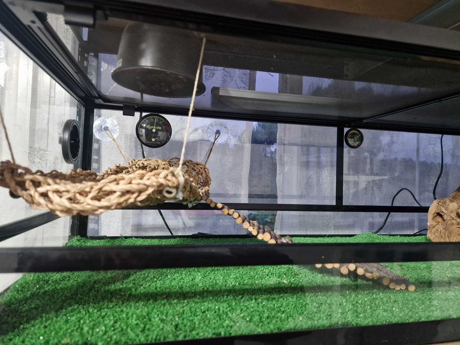 Vendo terrário répteis