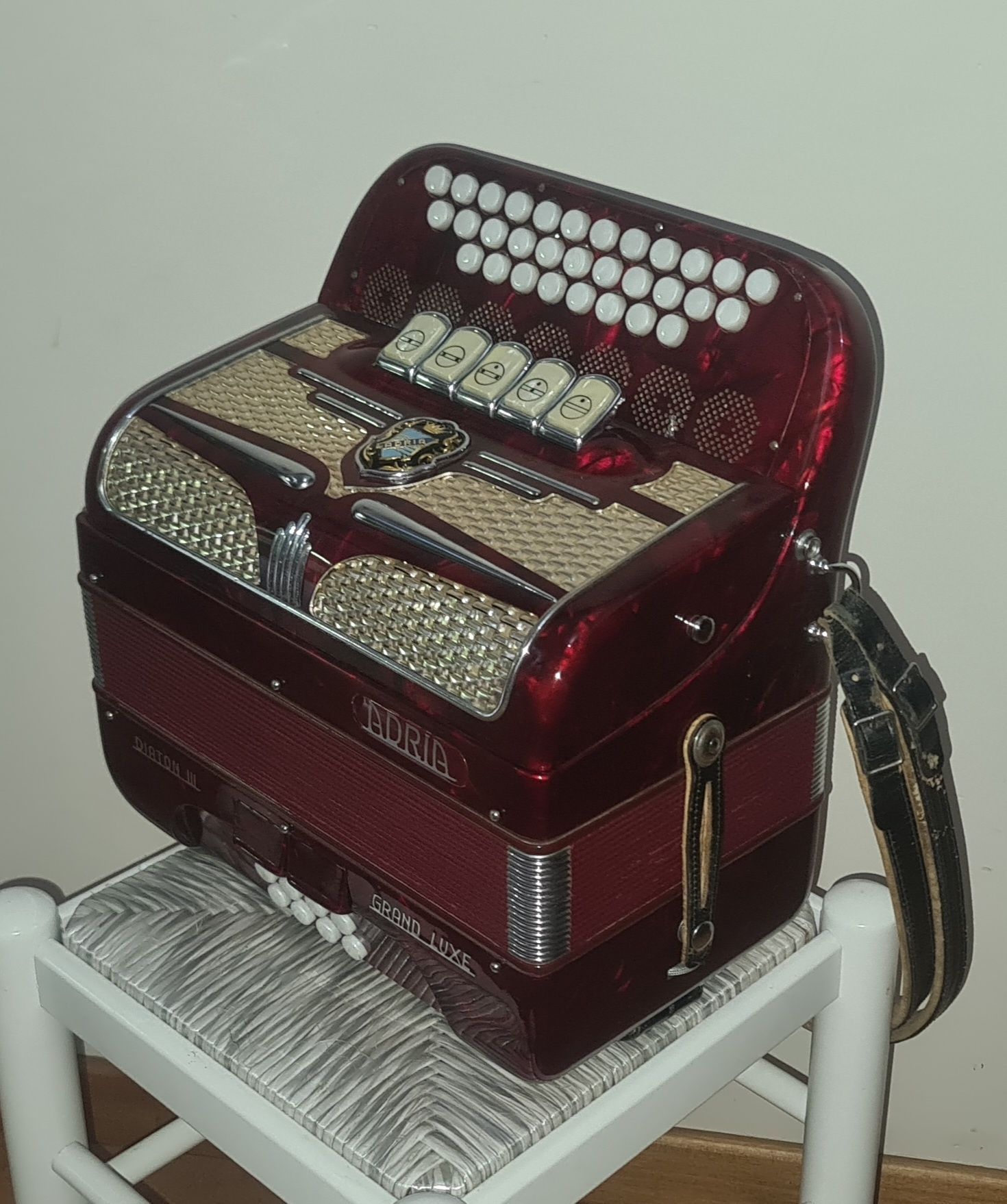 Concertina adria