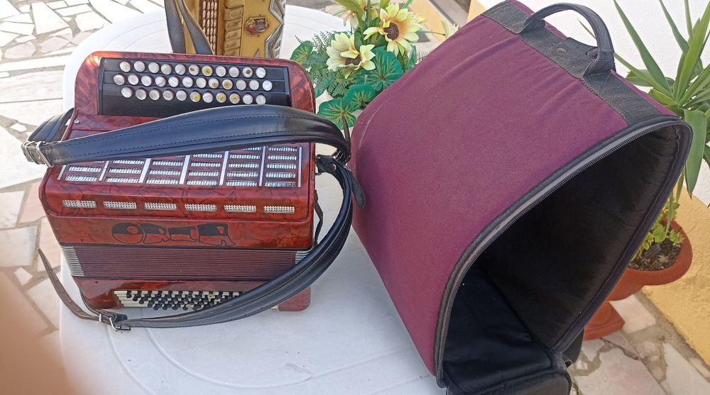 Acordeon Orca 2 voz com acessórios