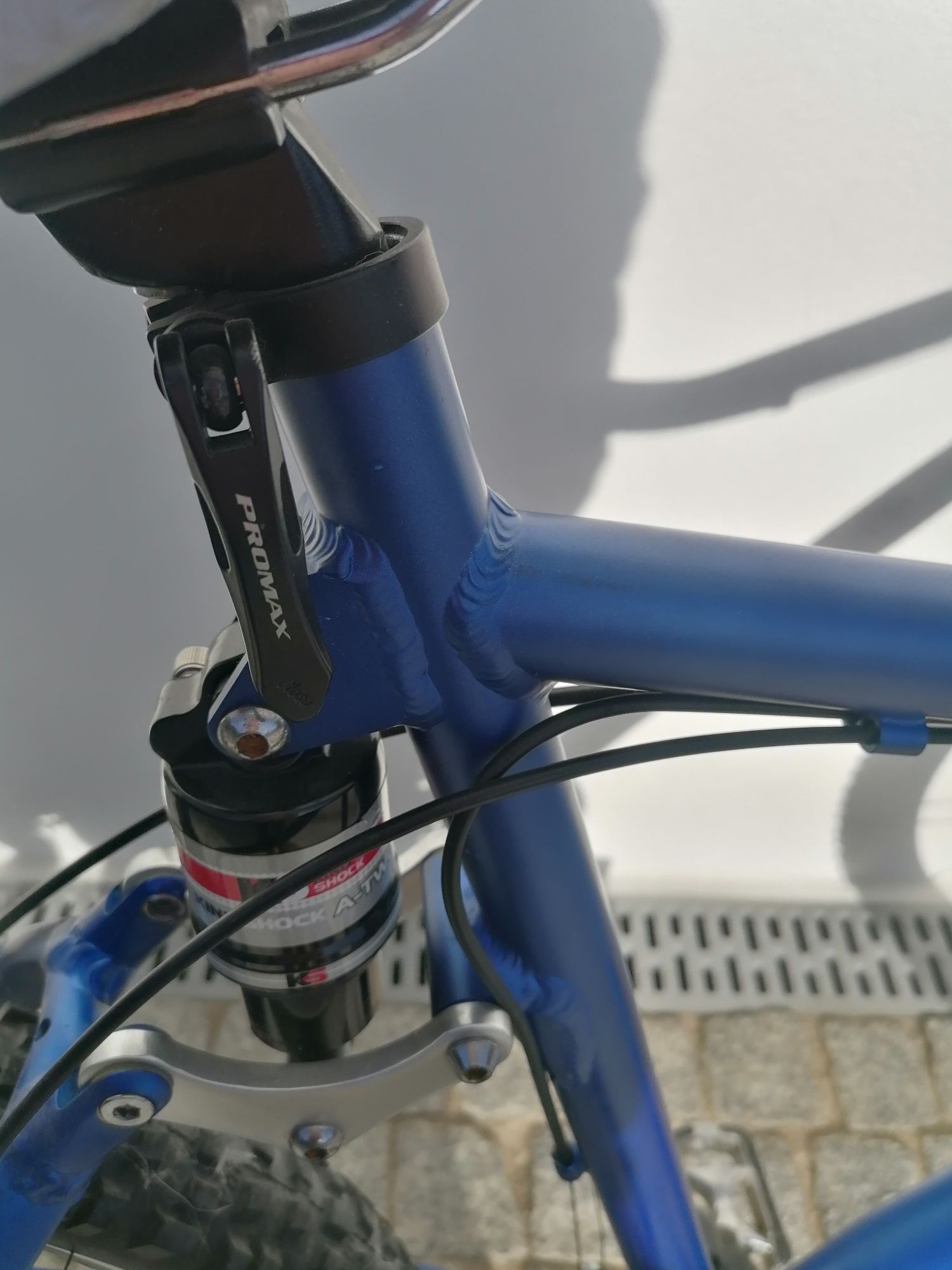 Bicicleta de montanha