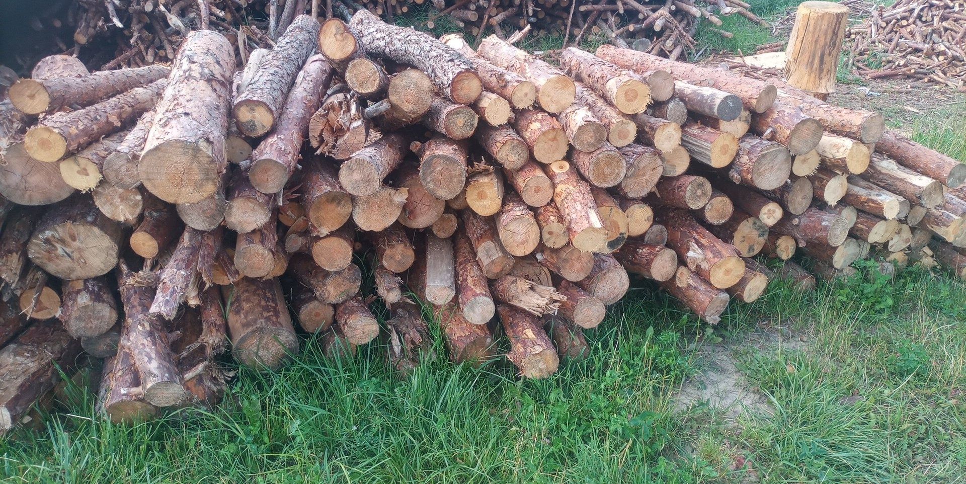 Sprzedaż drewna opałowego